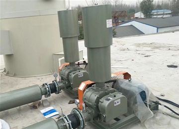 水產(chǎn)養(yǎng)殖羅茨風(fēng)機(jī)