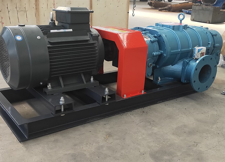 直聯(lián)型羅茨風機