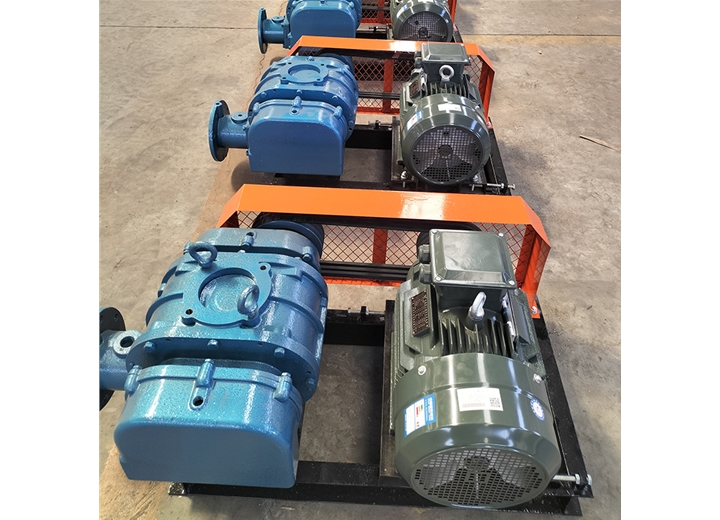 水產(chǎn)養(yǎng)殖羅茨風(fēng)機(jī)