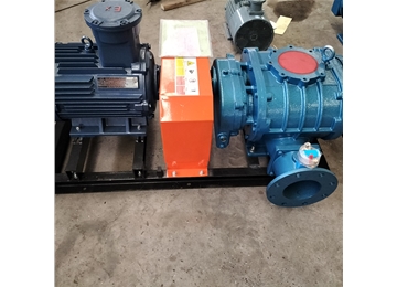 直聯(lián)型羅茨風機