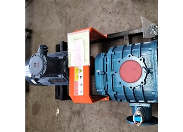 直聯(lián)型羅茨風機