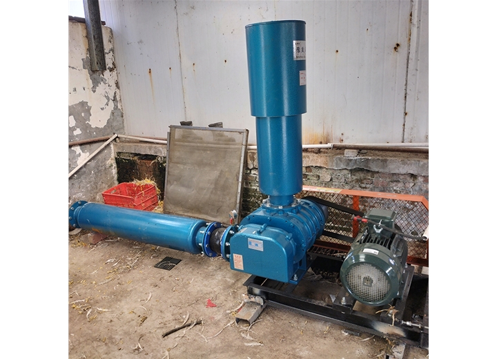 水產(chǎn)養(yǎng)殖羅茨風機